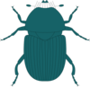 Dark Green Beetle Clip Art